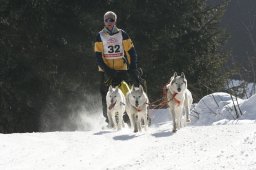 San Bernardino 2008